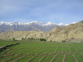Ladakh trekking